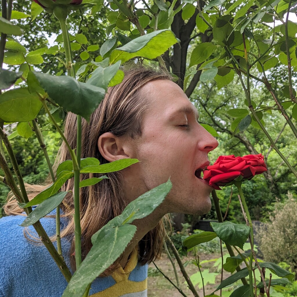 Me. Biting into a rose for the love of life.